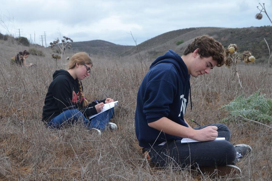 INTO THE WILD… SORT OF: Cameron Tilmont (12) and Nicolena Calderelli (12) sit in a grass field to write in their journals and feel inspired by the nature around them. For ERWC, the senior english class, students read articles about the book “Into The Wild” written by John Krakauer and exercise their poetic writing skills by observing how the main character, Chris McCandless, sees nature in a more abstract way. The english classes went on a hike on the trails around school to get a feel for the free-spirited ways of McCandless. 