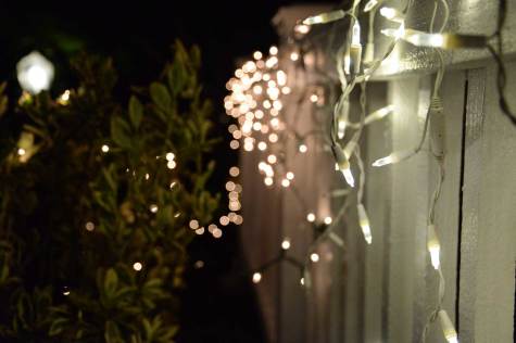 A BRIGHT CHRISTMAS: The negligence of prematurely putting up Chritmas lights and failing to take them down before it is February is a present and an engaging epidemic.