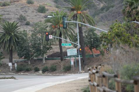 SWIMMING IN LA PATA: Construction workers were expanding La Pata and stumbled upon fossils of sea animals. Fossilized parts of birds, sea lions, dolphins, walruses, sharks, and fish were found. Mako shark teeth were spread below the dirt, along with a shark’s vertebrae.