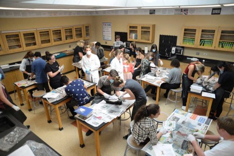 Erin Rickert's 4th period Anatomy class dissected cats throughout the month of February in order to expand their knowledge on the muscle system. Creating an interactive learning environment is one thing that SJHHS does in order to empower the minds of students and provide them with unforgettable educational experiences.