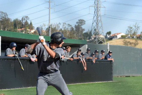 Dedication to the Diamond