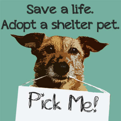 Adopt, Don't Shop