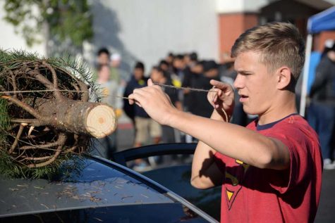 School Holiday Decorations Cause Controversy