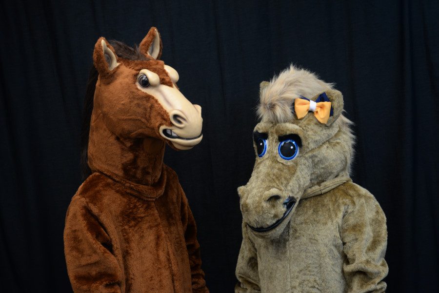Stanley (left) stands with the new mascot (right). The two, along with Teddy (not pictured), debuted at last friday’s football game. The two horses plan on creating routines to perform at school related events. Carson Marchello (Stanley) and Brianna Diiorio (Stella) were selected after a tryout in which they were taught two cheers and performed them. Photo by Lucy Law