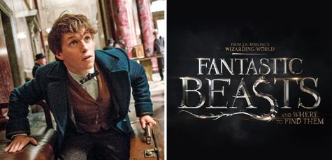 Large Potential Put on “Potter” Prequel