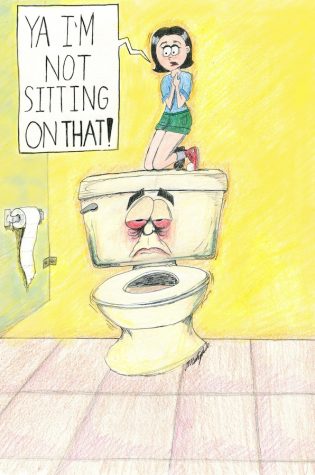 Lack of Toilet Seat Covers Explained