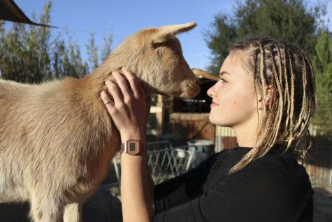 Grace Jones Starts Her Own Business: Goats and Co.
