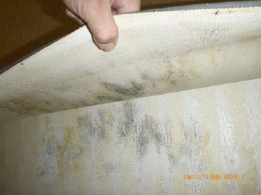 A pulled back baseboard with evidence of mold growth from one of the affected and treated classrooms in the D-Building.