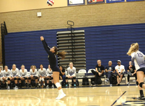 Girls Volleyball Goes Undefeated Once Again