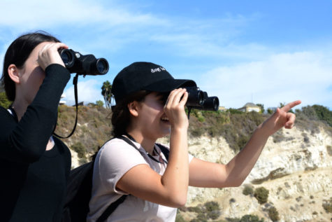 APES Students Observe Ecosystem of an Estuary Firsthand