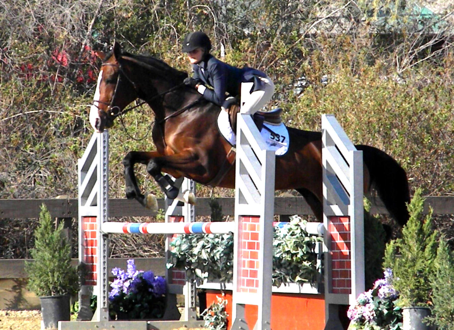 Virginia Smith competes in an International Equestrian League competition in Orange County.