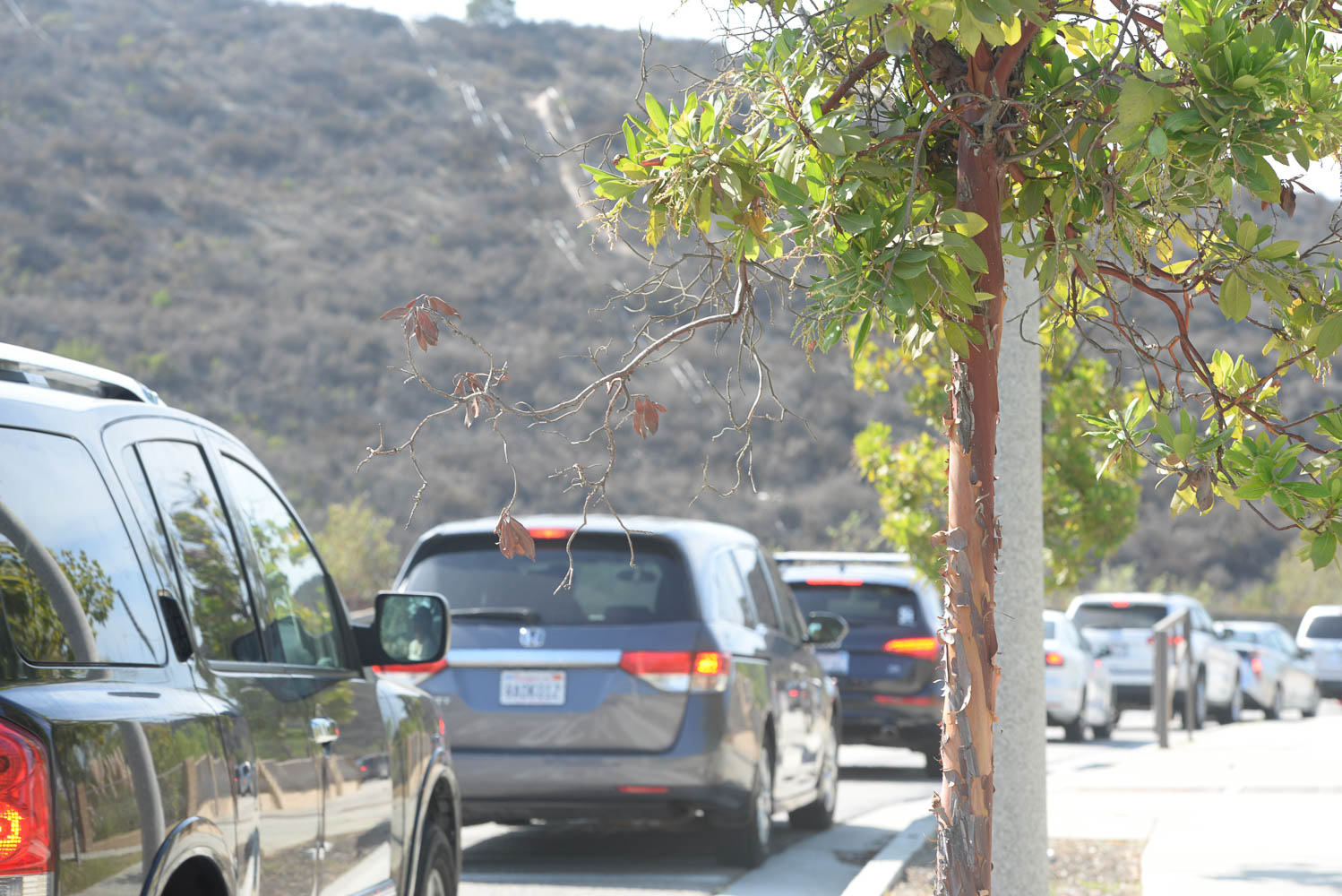 At the end of the school day, parents line up in the long, slow-moving line to pick up their children.