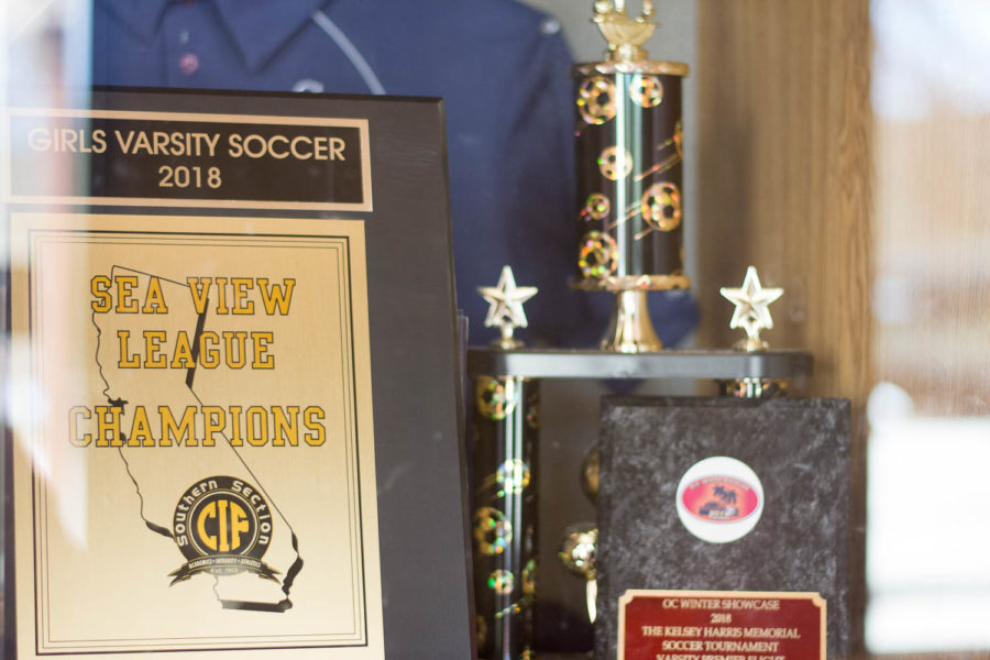 In the 2018 season, the girls varsity soccer team won five games, lost zero, and tied three getting first in the Sea View League. Even against Trabuco Hills, Mission Viejo, Capistrano Valley, and El Toro, San Juan came first.