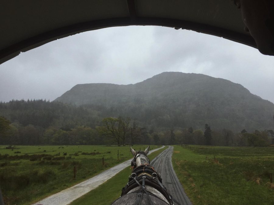 A horse drawn carriage taking riders through Killarney National Park. The park was the first national park in Ireland and was created in 1932. It is very beautiful, with mountains, lakes, and castles. 