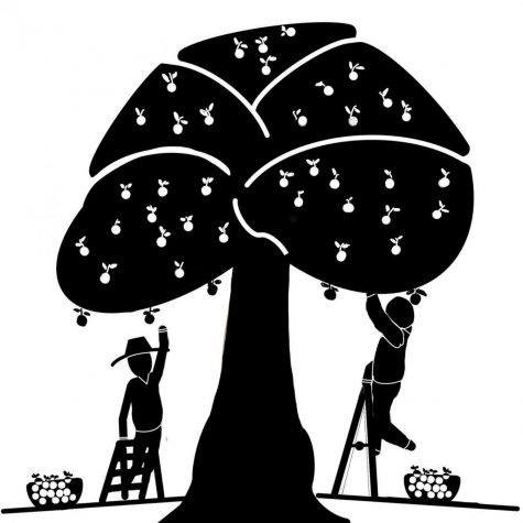 Similar to the scenario presented by George Washington University, two children reach for an apple tree, but one is granted a taller ladder in order to be able to reach the tree.