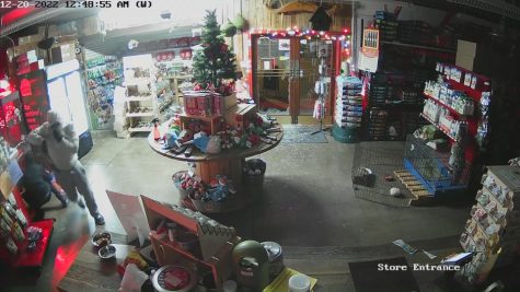 Security Cameras capture video surveillance of the two suspects breaking in and stealing the Feed Barns beloved 3 parrots. They broke the stores front door glass and climbed in at 12:48 a.m on December 20, 2022. They left the scene one minute later at 12:49 a.m. 