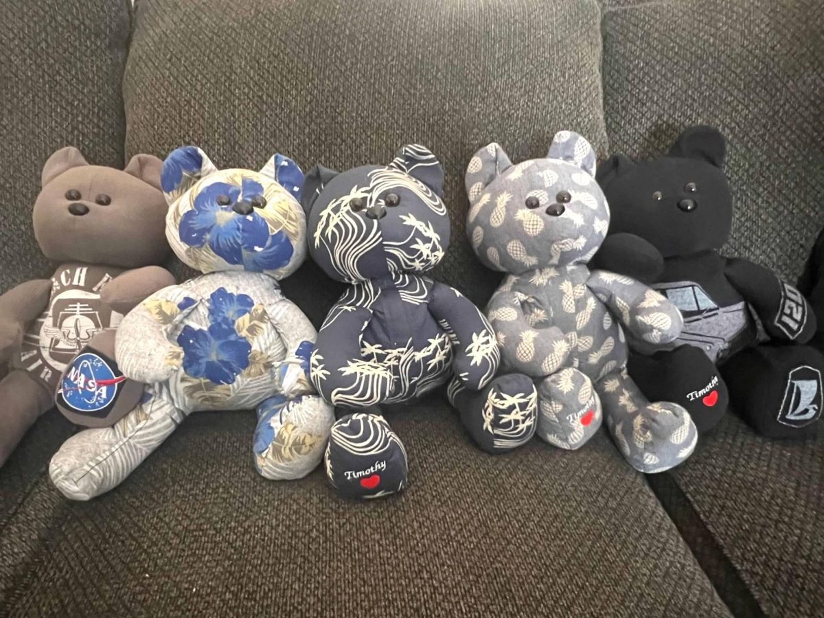 "Timmy Teddy Bears"