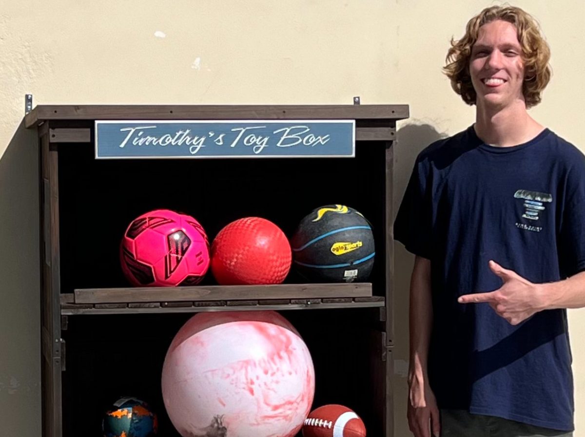 Timothy's Toy Box