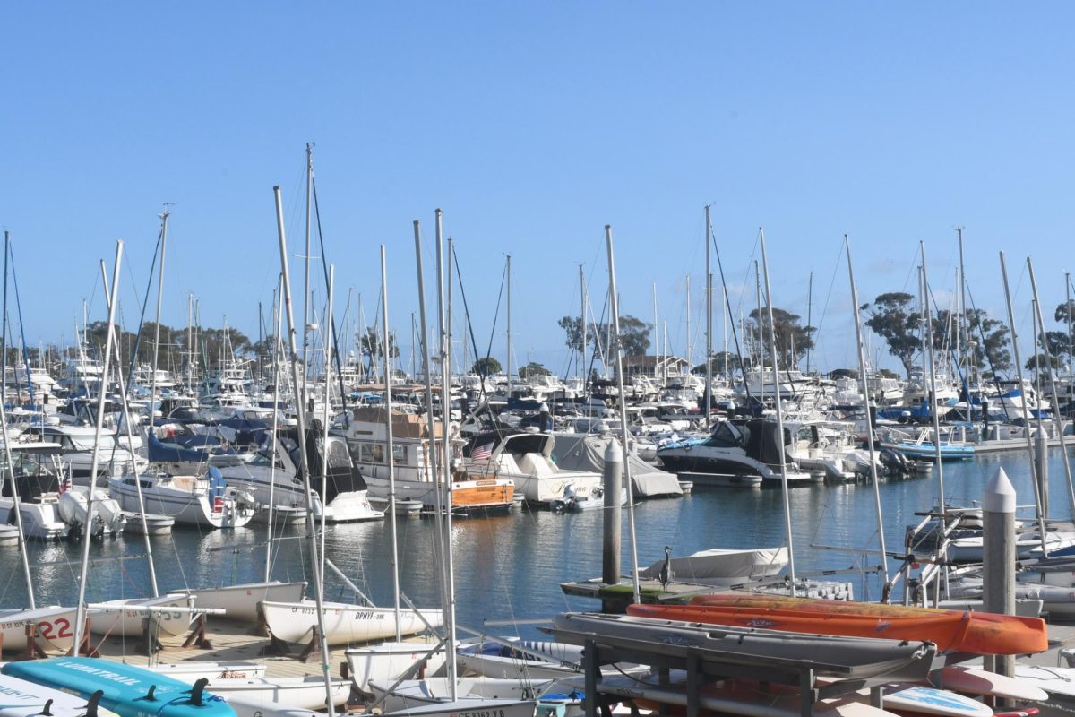 Several rows of boathouses line the waterfront at the Dana Point Harbor, overlooking the marina. The revitalization project is expected to bring changes that will affect many longtime residents.