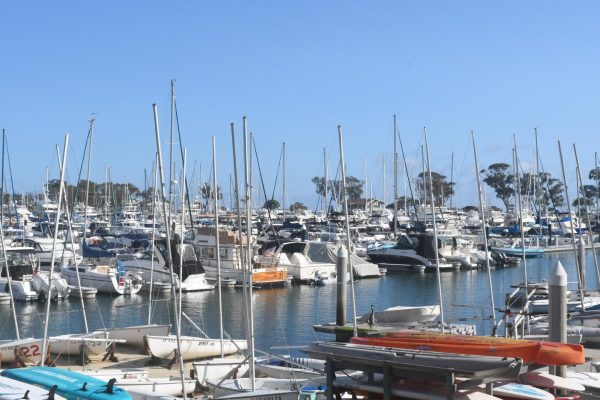 Several rows of boathouses line the waterfront at the Dana Point Harbor, overlooking the marina. The revitalization project is expected to bring changes that will affect many longtime residents.
