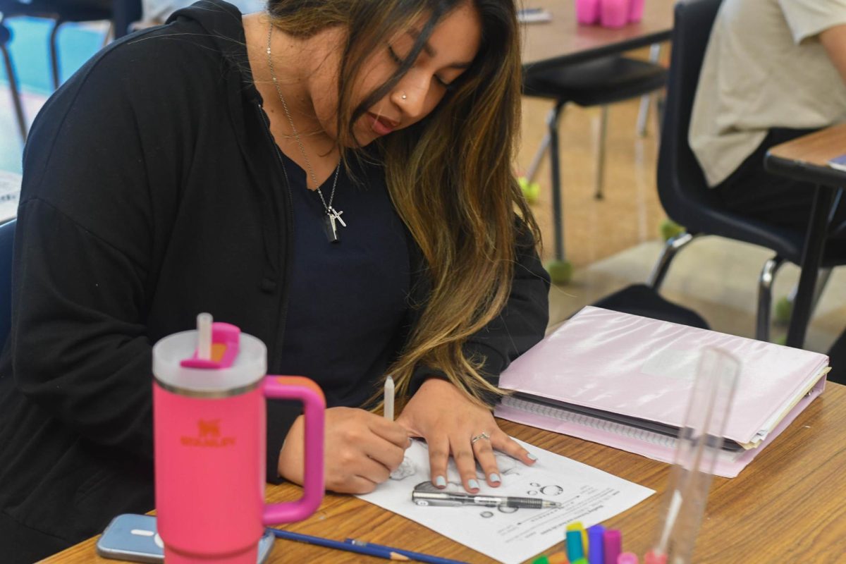A student in Intro to Art practies shading for a future still life project. The student is practiced with the shading of rose petals on the bottom of her page after practicing on simpler shapes such as circles and squares.