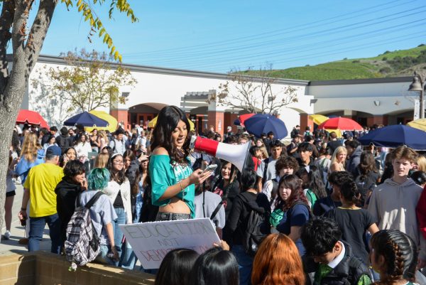 Students Walkout in Protest of ICE Actions: The Story in Photos