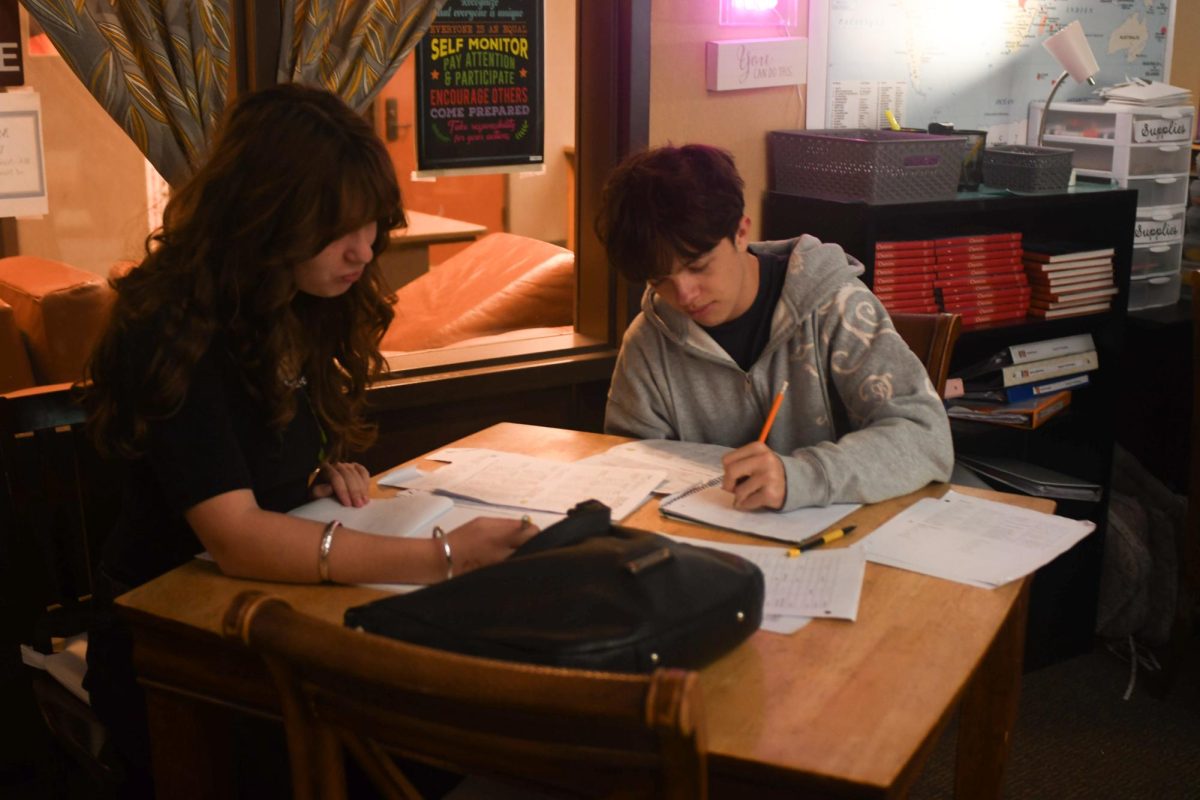 Students in AP French 4 continue to develop their French skills through hard work. Taught by Madame Keeler, this college-level course promotes a more extensive learning of French language and culture.  