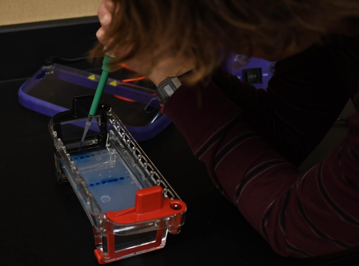 Julien Zysman, a senior in Mrs. Rickert's third period AP Biology class, inserts DNA into a gel electrophoresis machine for the class’s Forensic DNA Fingerprinting lab. This machine separates DNA, RNA, and proteins, allowing students to easily identify an individual's DNA and decipher who’s DNA is found at the lab’s crime scene, making them the killer.
