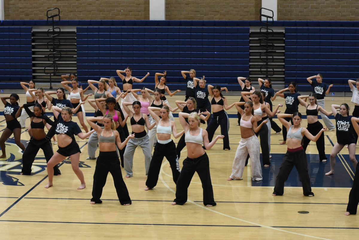 Each year in dance does a “unity week” where other dance teams come together at our school and take the day to learn from professional dancers. The schools that participated this year were San Juan Hills High, San Clemente High, Aliso Niguel High, and Dana Point High. Unity week starts with group stretches lead by the captains of our dance team, and then when the professional arrives they learn a dance choreographed by the professional to preform later in the day.